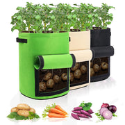 10 Gallon Potato Grow Container with Side Window - Available in 2 Quantity and 3 Colors_0