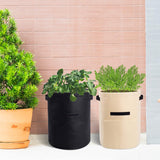 10 Gallon Potato Grow Container with Side Window - Available in 2 Quantity and 3 Colors_2
