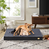 PETSWOL Comfy Orthopedic Dog Bed - Washable for Easy Maintenance - Perfect for Restful Sleep!_3