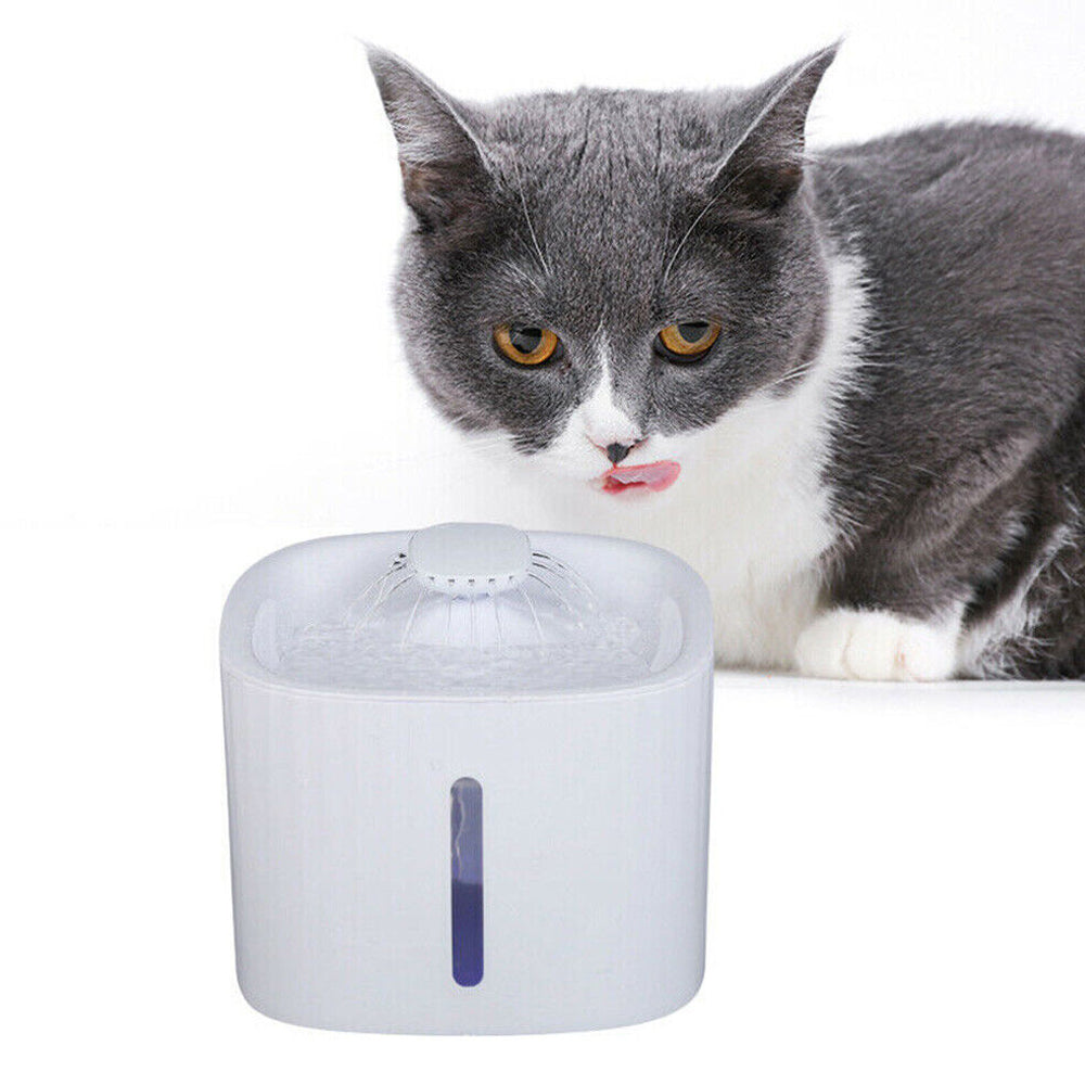 USB Powered Large Capacity Noise Free Pet Water Fountain_12