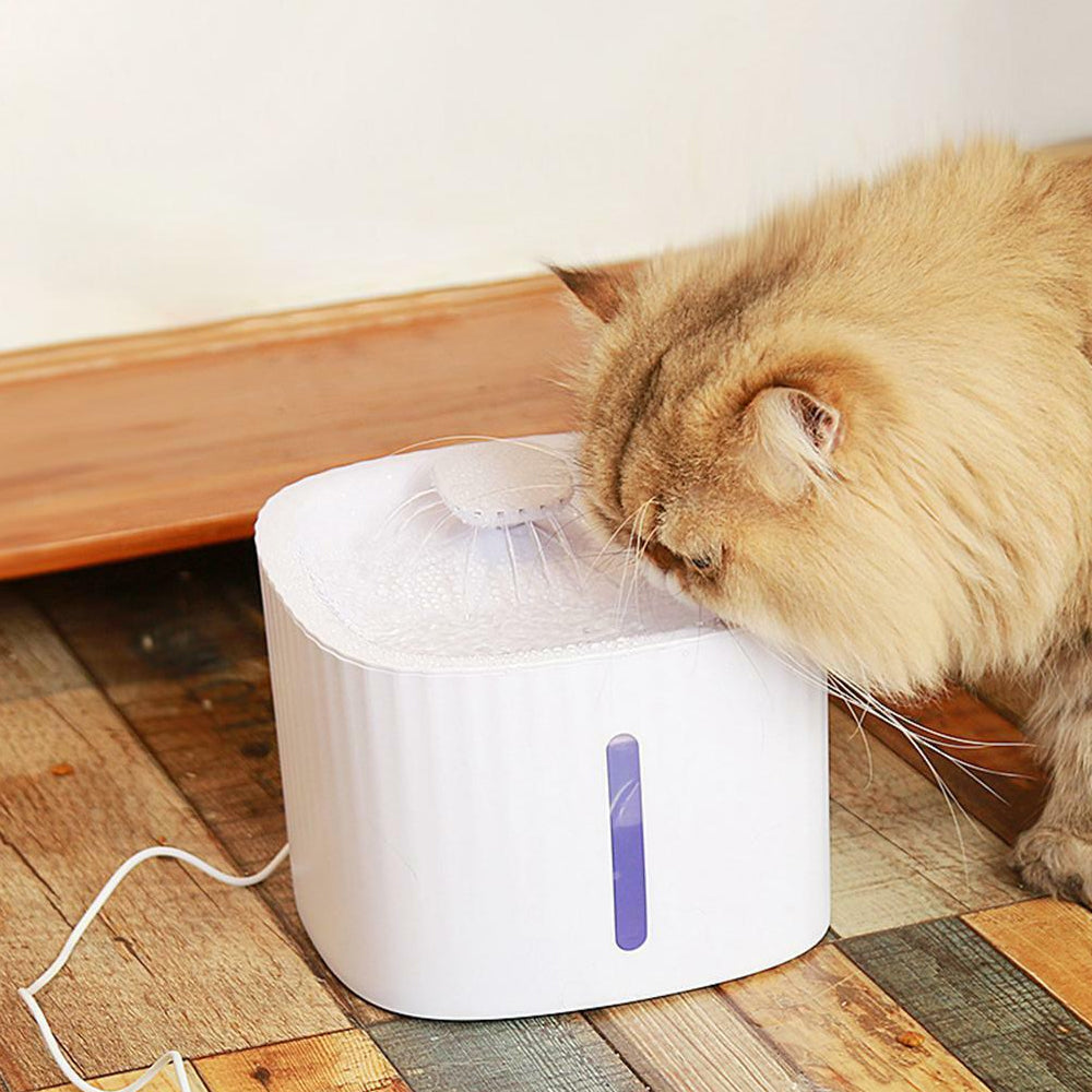 USB Powered Large Capacity Noise Free Pet Water Fountain_2