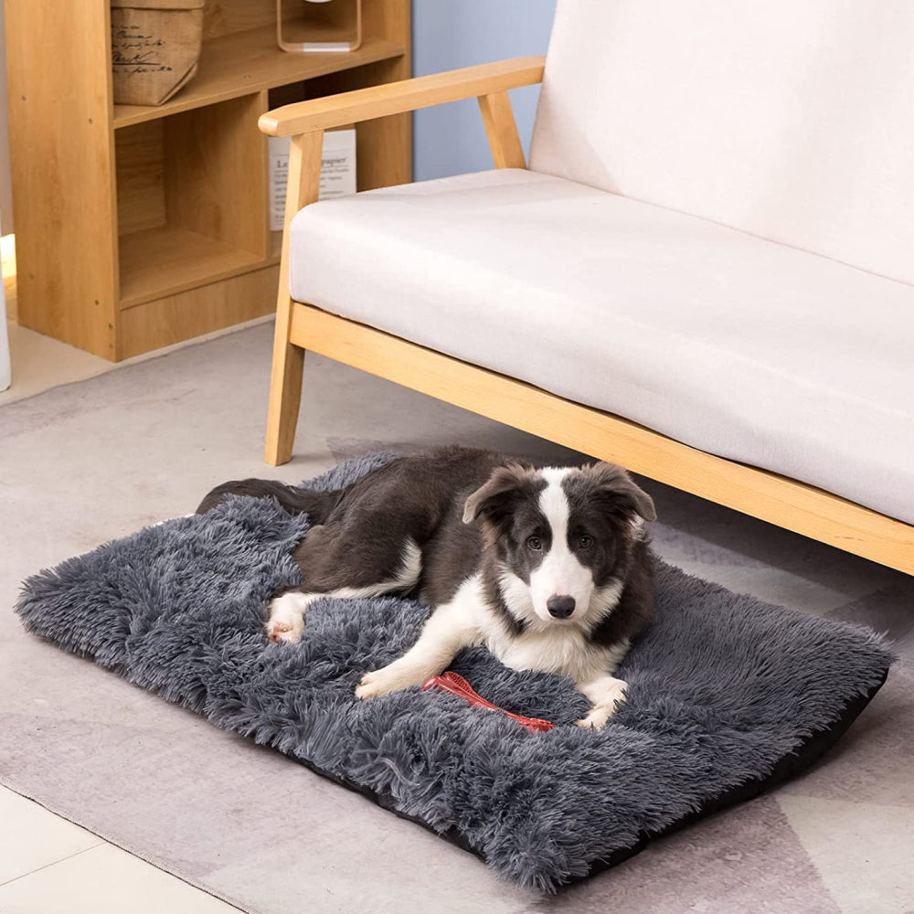 PETSWOL Plush and Cozy Pet Mat for Ultimate Comfort and Warmth_2