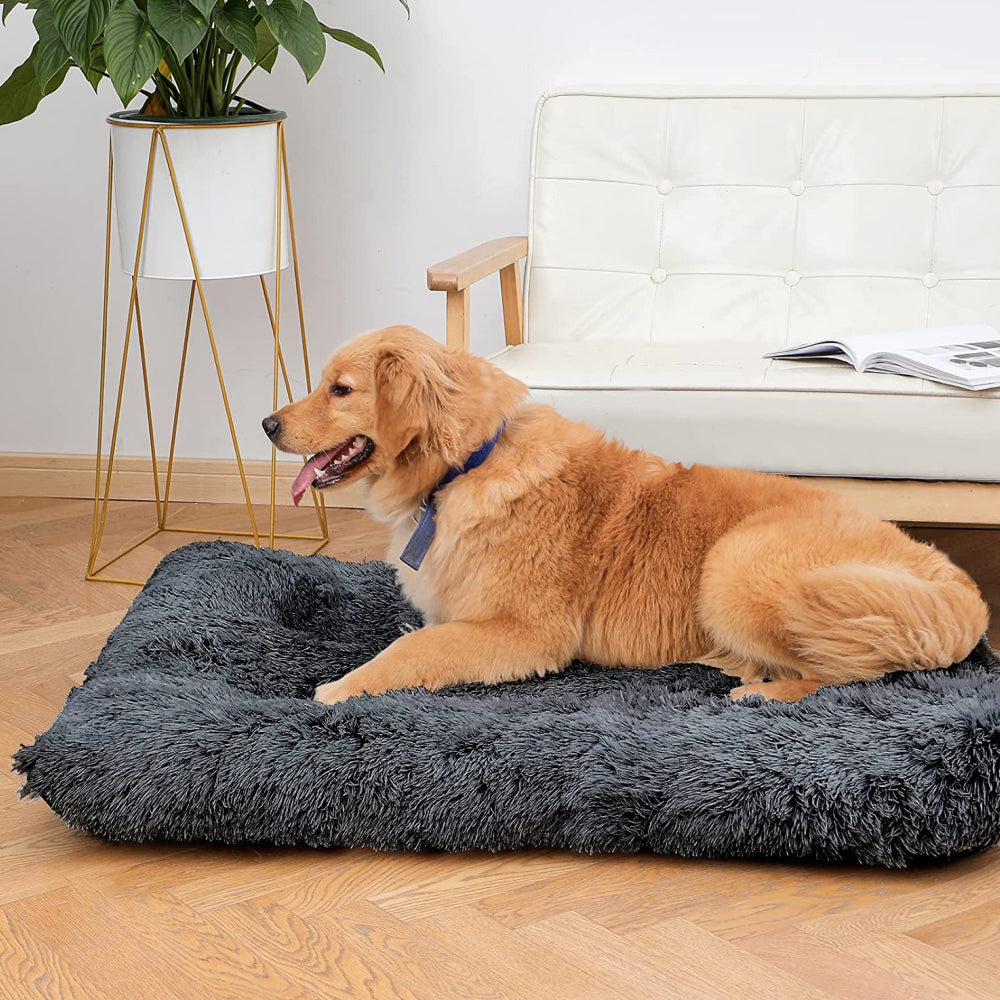 PETSWOL Plush and Cozy Pet Mat for Ultimate Comfort and Warmth_3