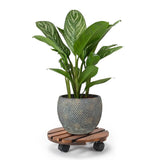 GREENHAVEN 2 Pack Plant Caddy with Lockable Wheels - Wood Color_1